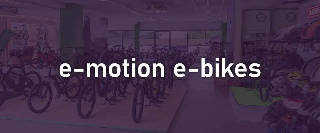 e-motion e-bike